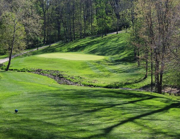 Hickory Woods Golf Course 11th Hole