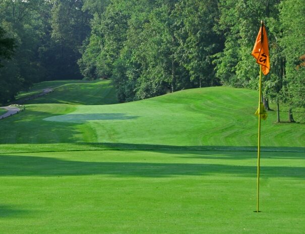 Hickory Woods Golf Course 12th Green