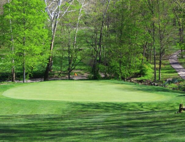 Hickory Woods Golf Course 13th Green