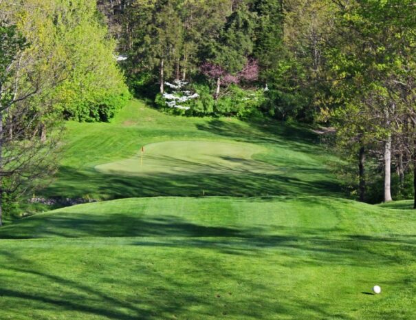 Hickory Woods Golf Course 15th Hole