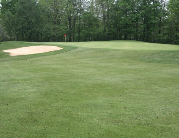 Hickory Woods Golf Course 17th Green