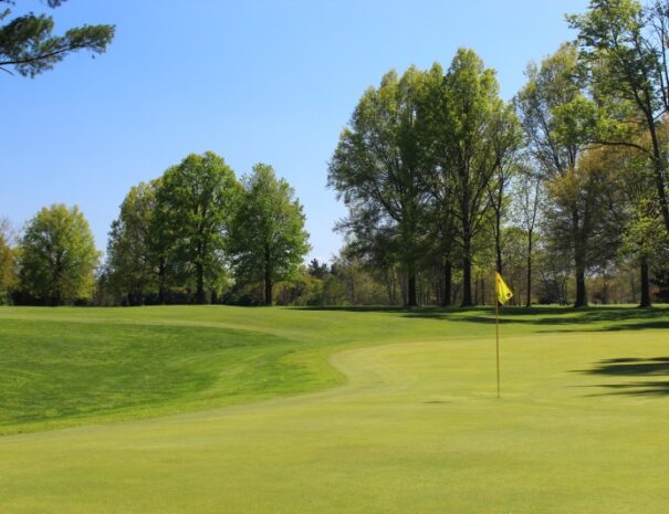 Hickory Woods Golf Course 8th Hole