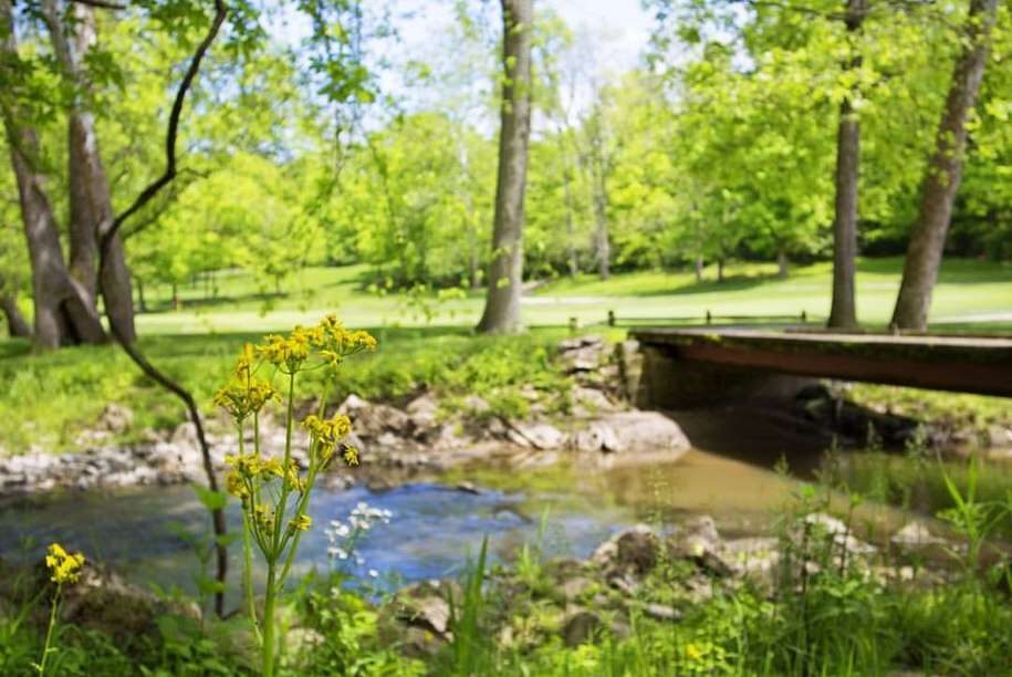 Hickory Woods Golf Course - Loveland, Ohio